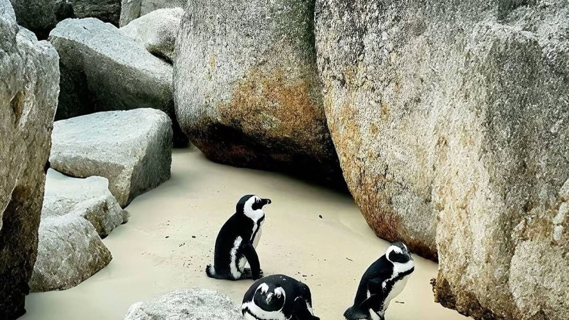 South Africa - Image