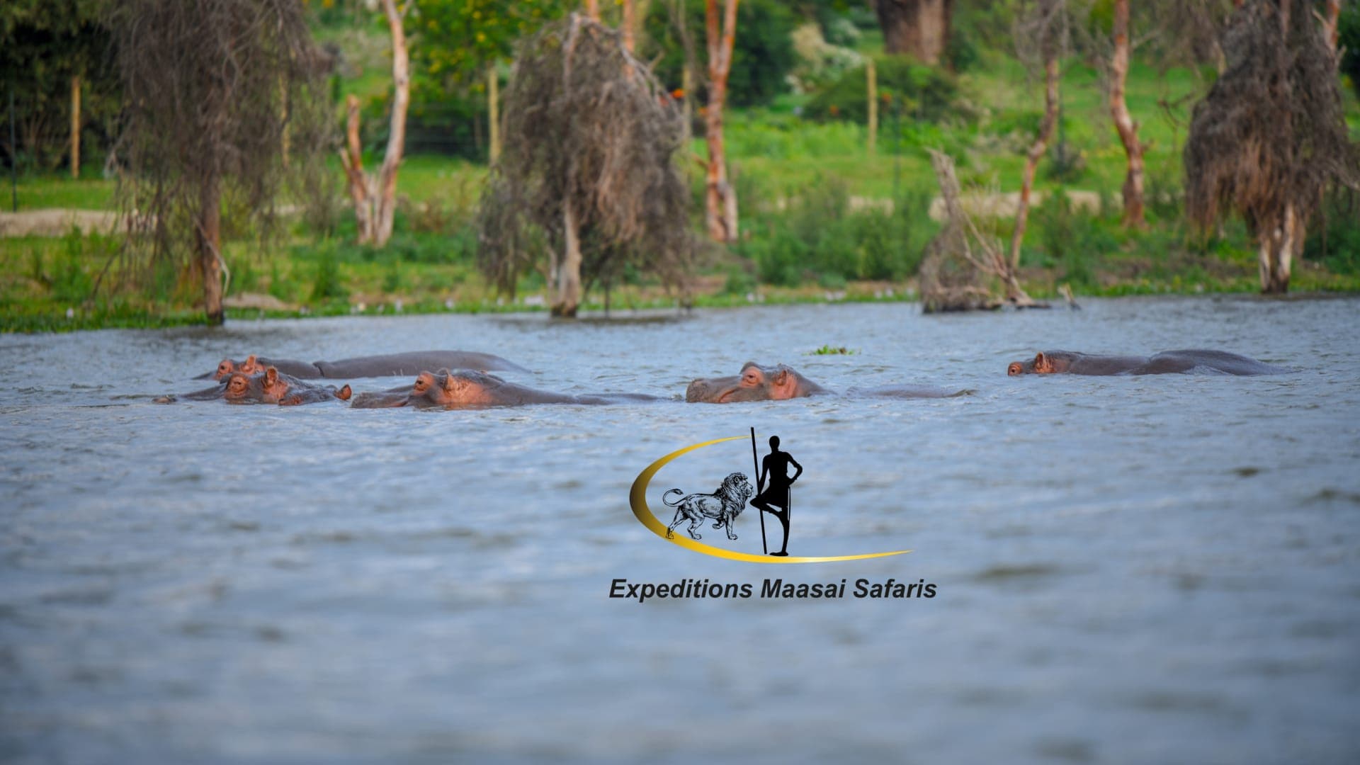 Naivasha Self Drive Getaway