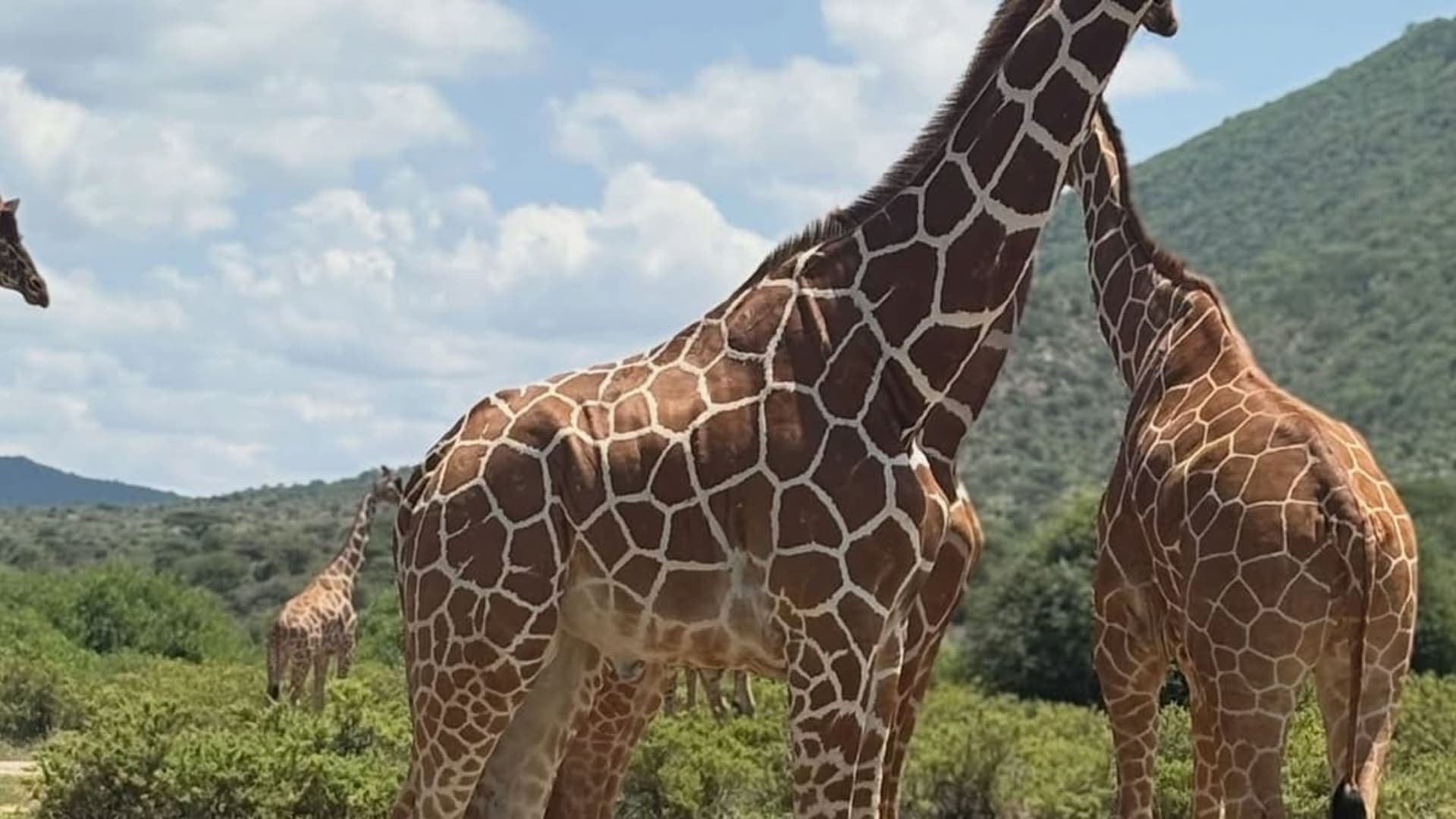 15-Day Ultimate Kenya Wildlife & Scenic Safari