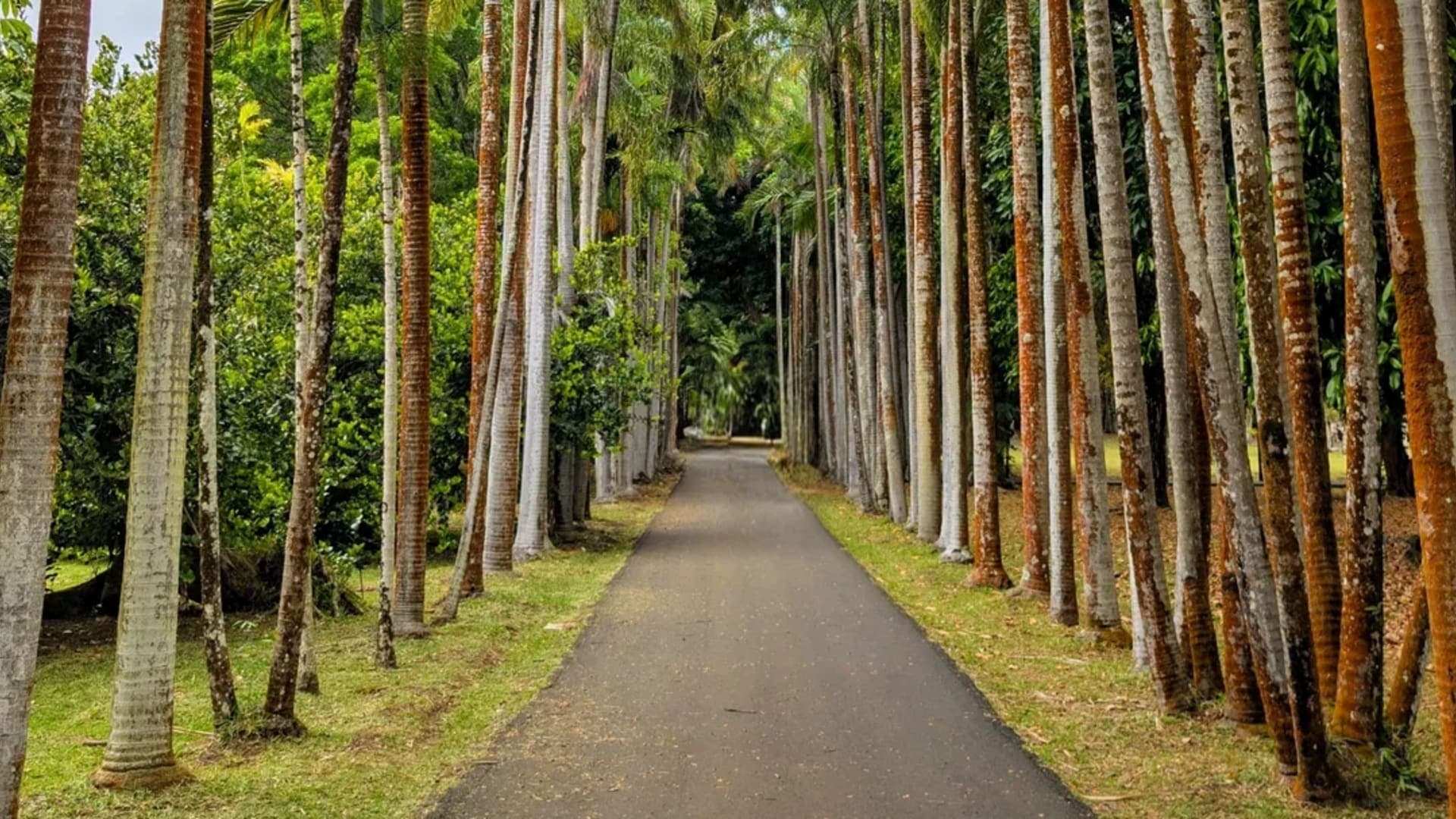 5-Day Mauritius Holiday Packages